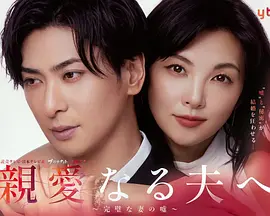 致亲爱的丈夫完美妻子的谎言封面图