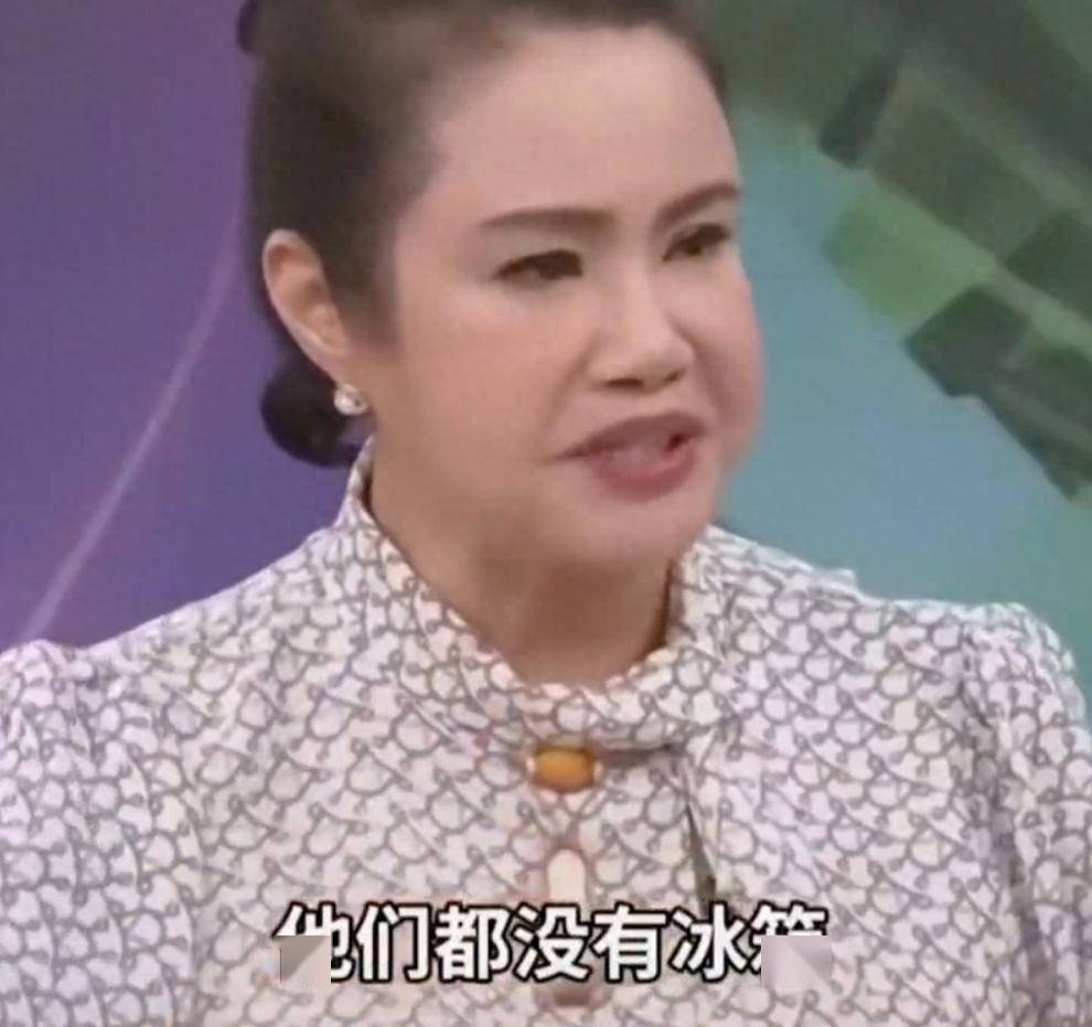 台湾节目嘉宾说北京没有冰箱，网友：对对对，我们还在钻木取火！封面图