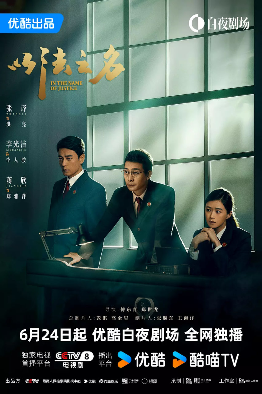 以法之名封面图
