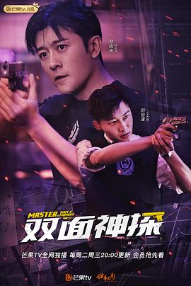 双面神探封面图