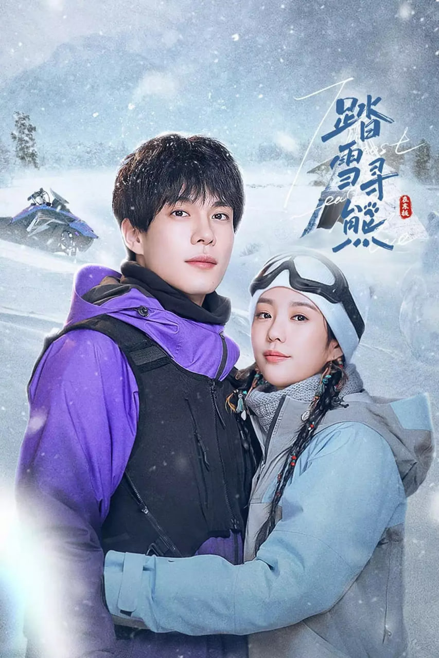 踏雪寻熊封面图