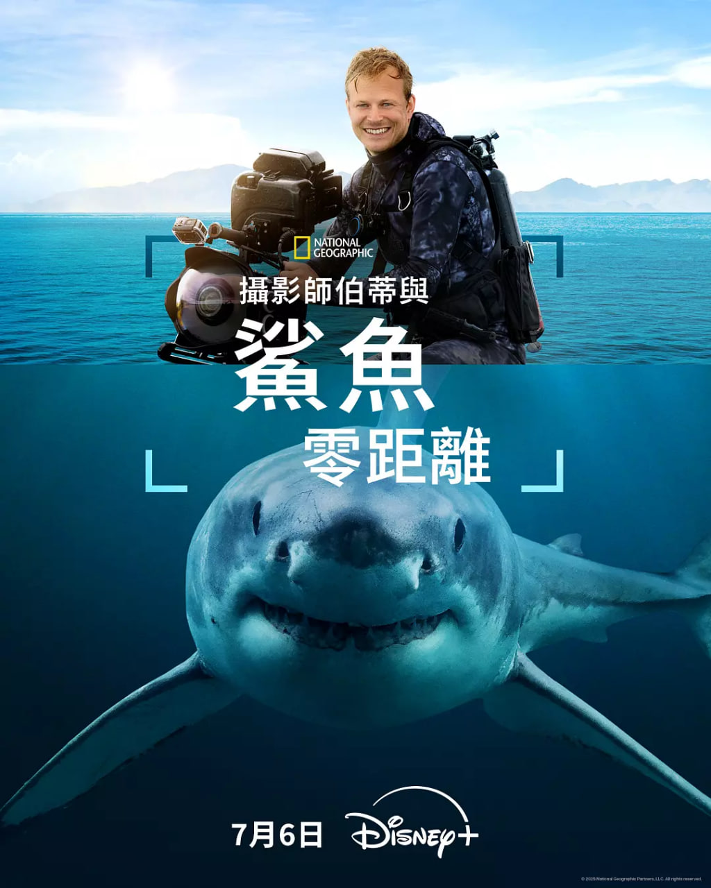 摄影师贝尔蒂与鲨鱼零距离封面图