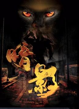 暗影封面图