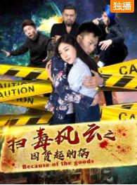扫毒风云之因货起的祸封面图