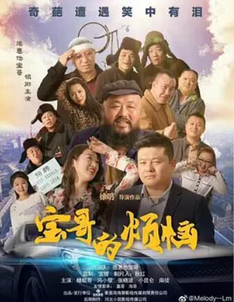 宝哥的烦恼封面图