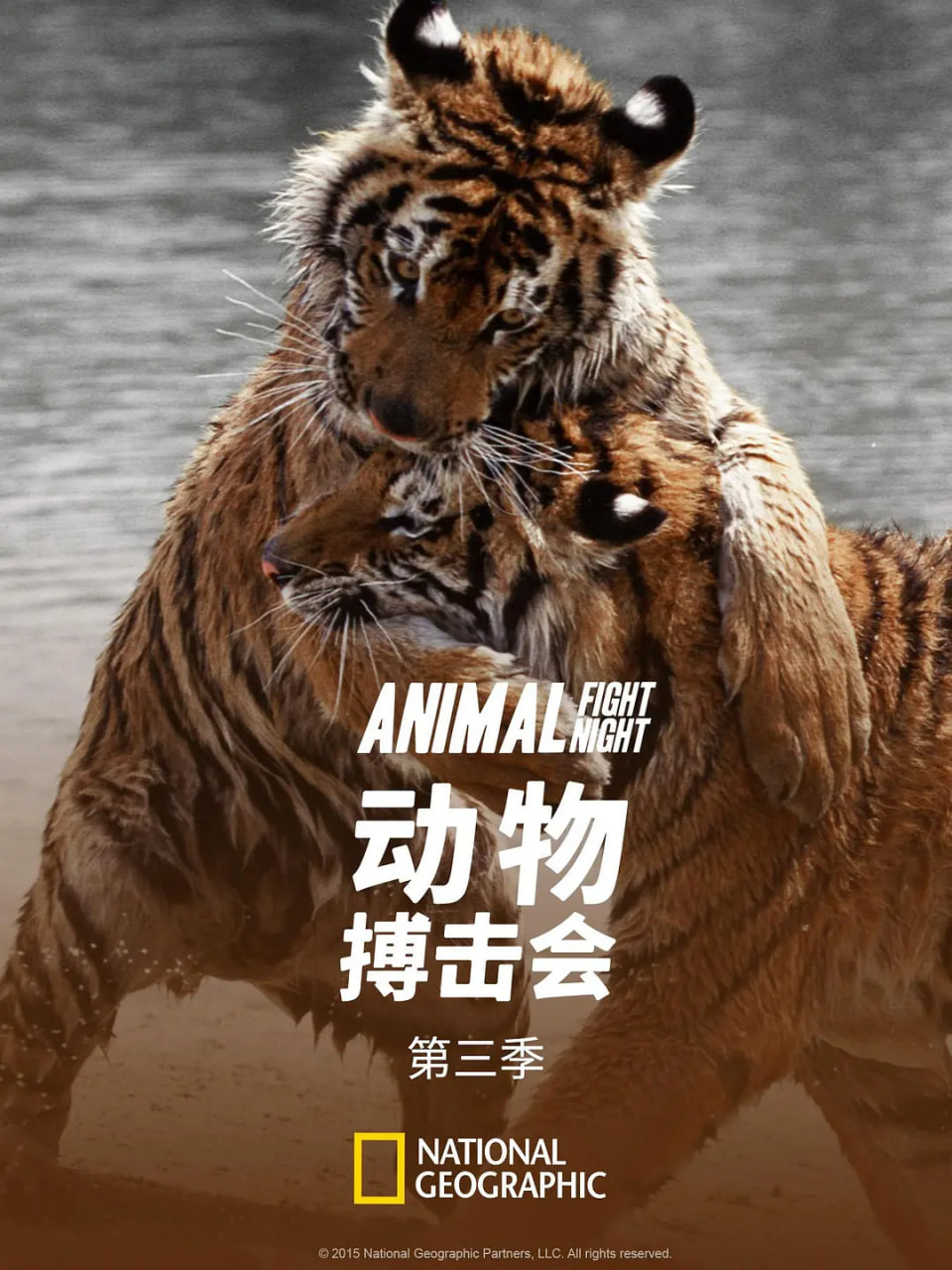 动物搏击会 第三季封面图