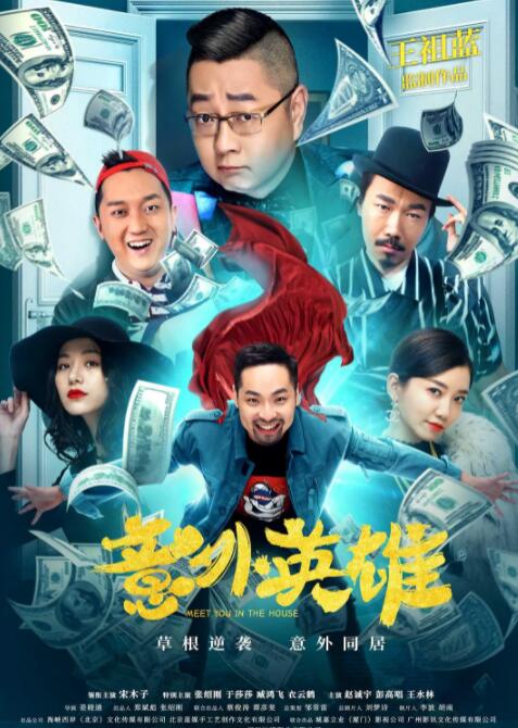 意外英雄封面图