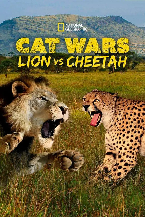 搜索 猫科大战：狮子VS猎豹封面图