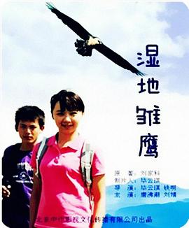 湿地雏鹰封面图