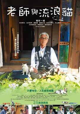 老师与流浪猫封面图