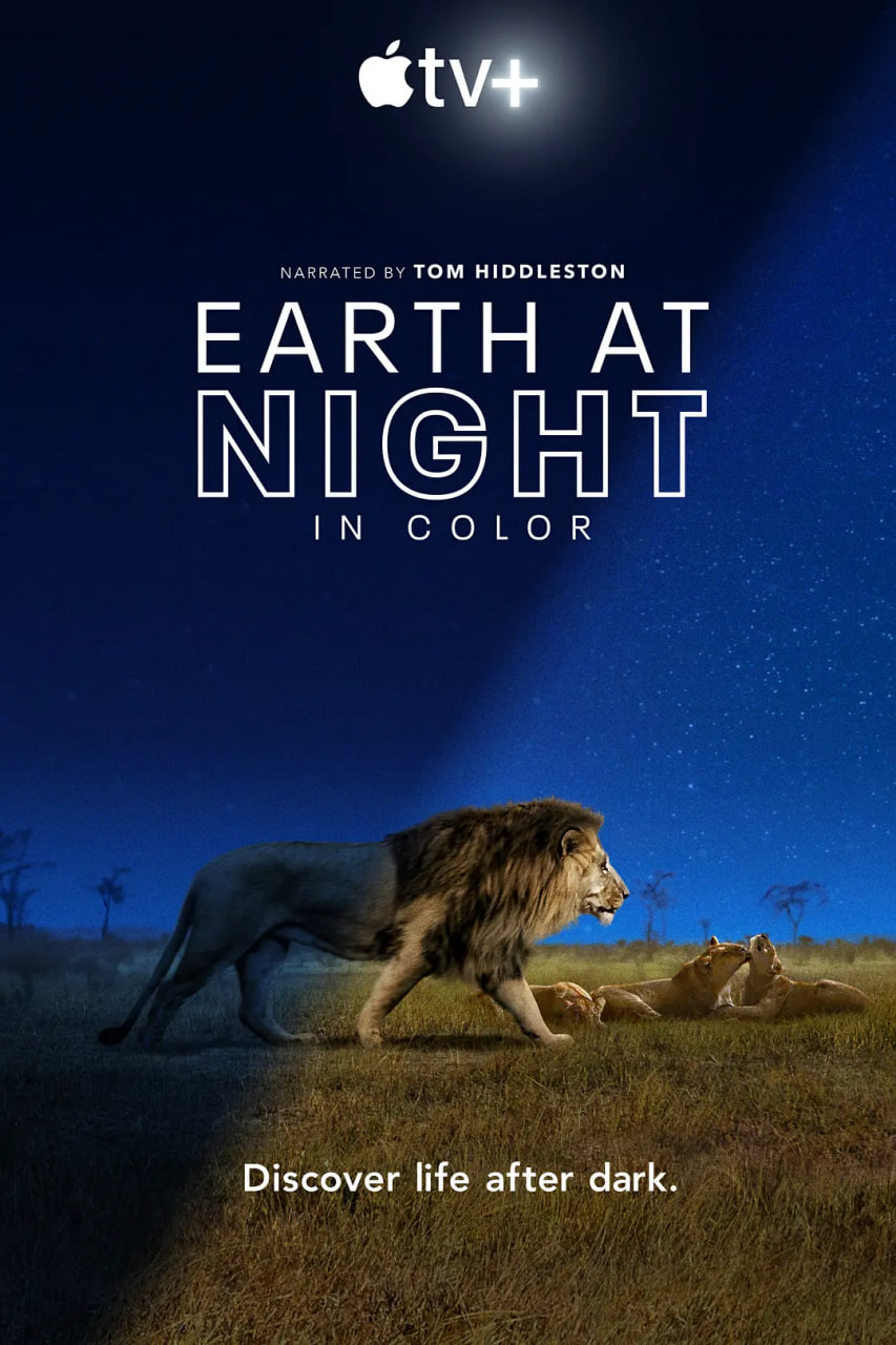 夜色中的地球 第一季封面图