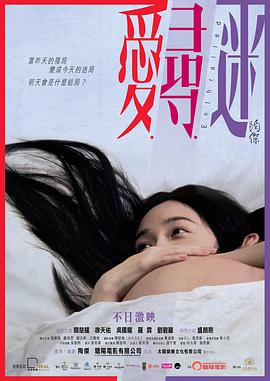 爱寻迷封面图