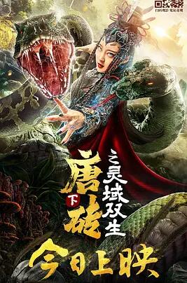 唐砖下之灵域双生封面图