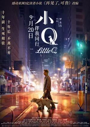 小Q封面图