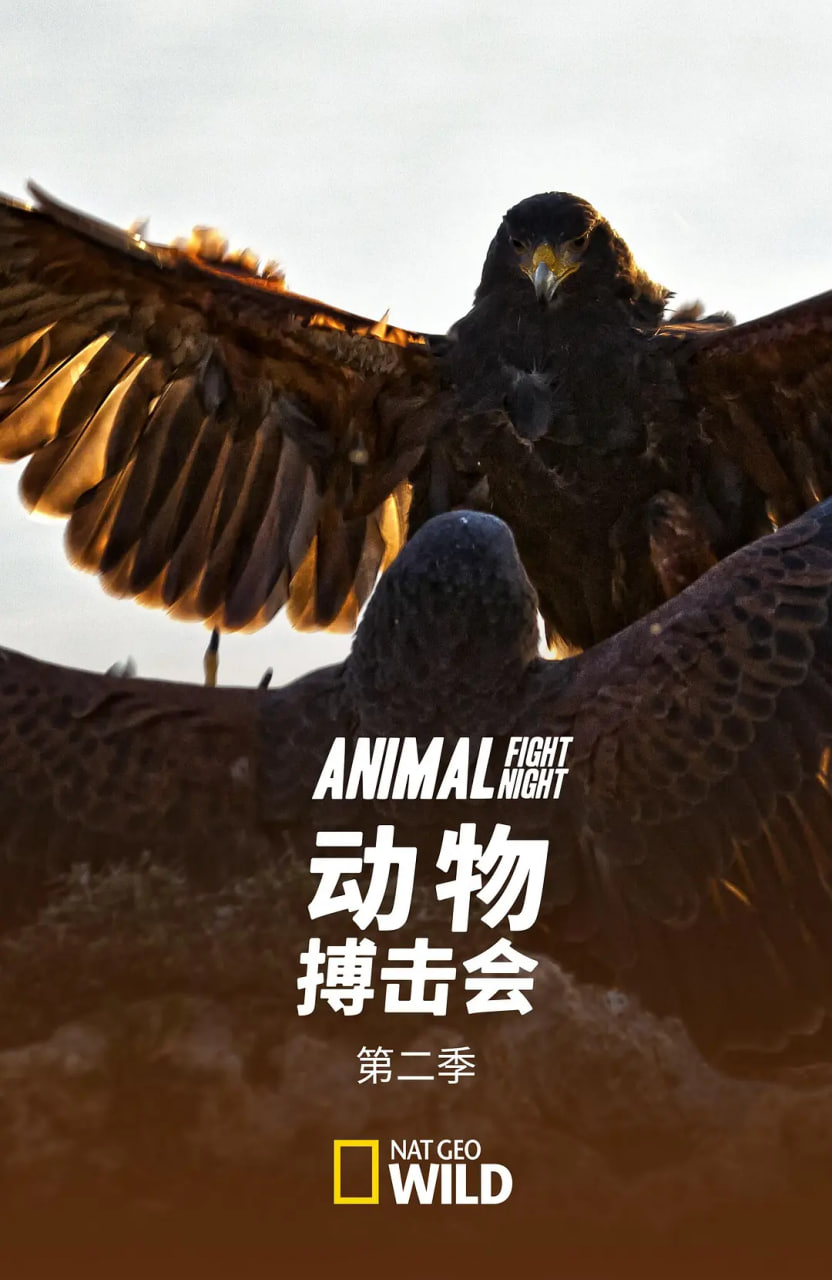 动物搏击会 第二季封面图