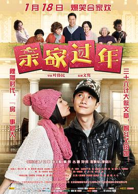 亲家过年封面图