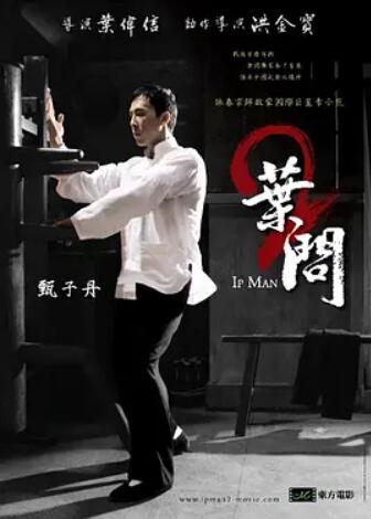 叶问2：宗师传奇封面图