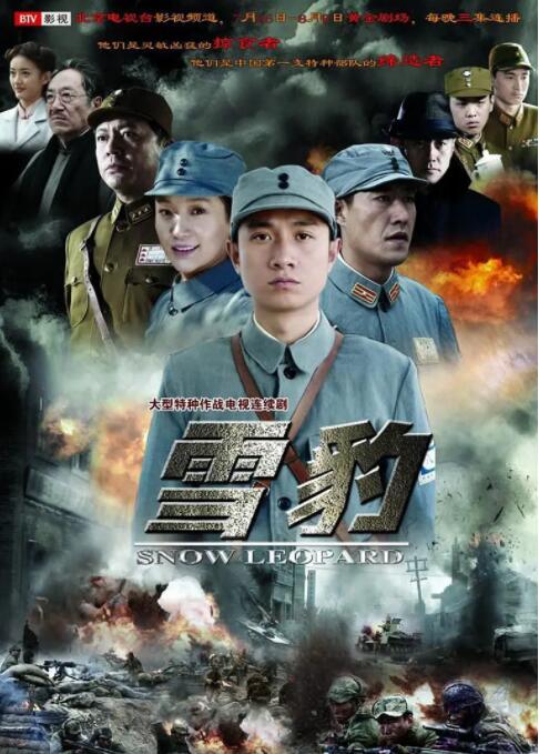雪豹封面图