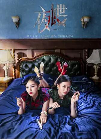 夜蝶封面图