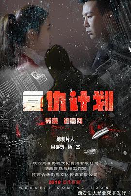 复仇计划封面图