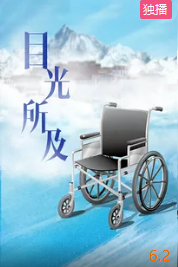 目光所及封面图
