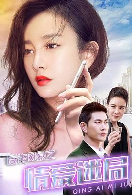 反诈风暴之情爱迷局封面图