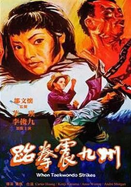 跆拳震九州封面图