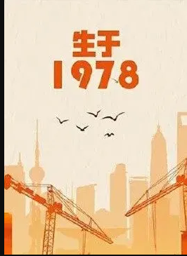 生于1978封面图