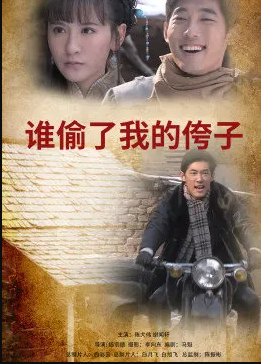 谁偷了我的侉子封面图