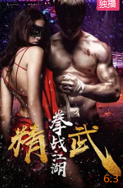 精武之拳战江湖封面图