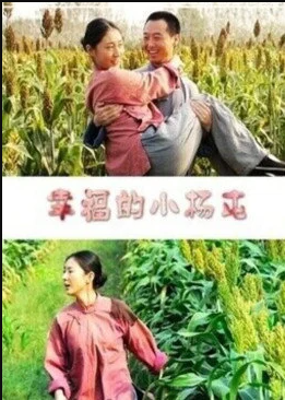 幸福的小杨屯封面图
