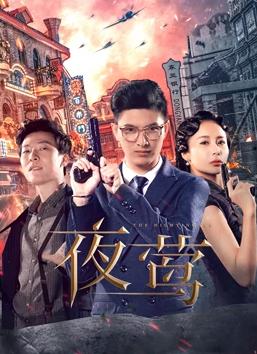 夜莺[电视剧版]封面图