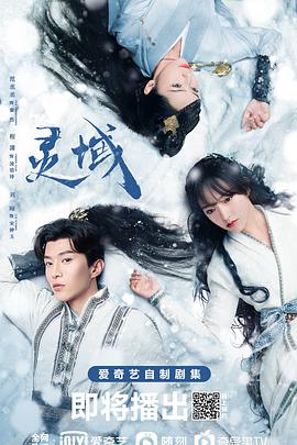 灵域[电视剧版]封面图