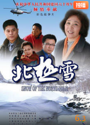 北极雪封面图