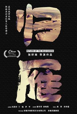 归雁封面图