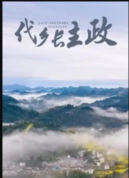 代乡长主政封面图