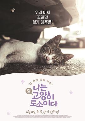 我是猫封面图