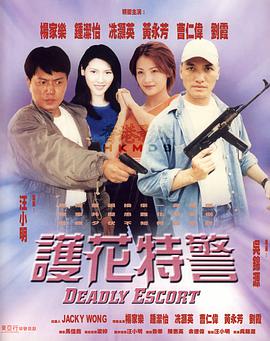 护花特警封面图