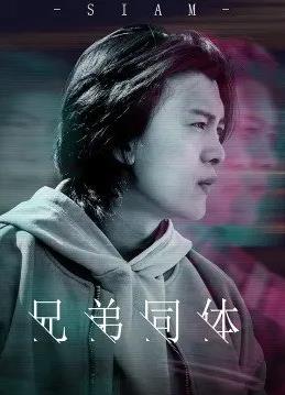 兄弟同体封面图