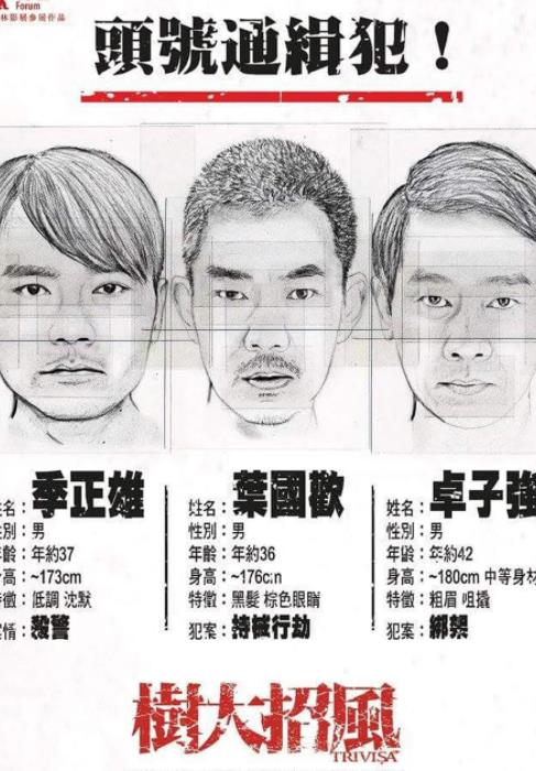 树大招风封面图