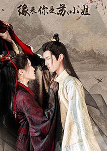缘来你是苏小姐封面图