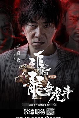 追龙番外篇之龙争虎斗封面图