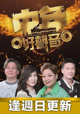 中年好声音封面图