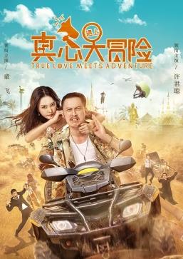 真心遇上大冒险封面图
