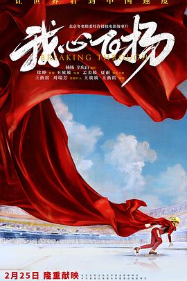 我心飞扬封面图