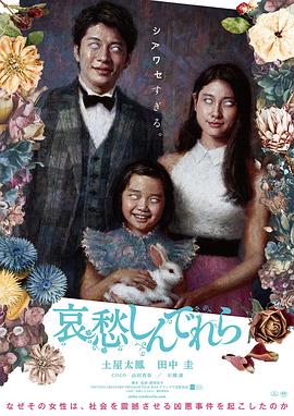 哀愁灰姑娘封面图