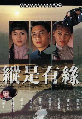 自梳女国语版封面图