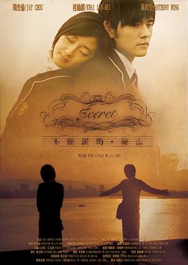 不能说的秘密[电影版]封面图