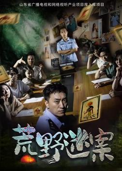 荒野迷案封面图