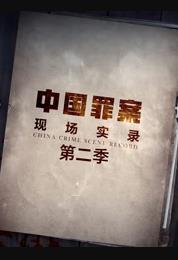 罪案现场实录第二季封面图